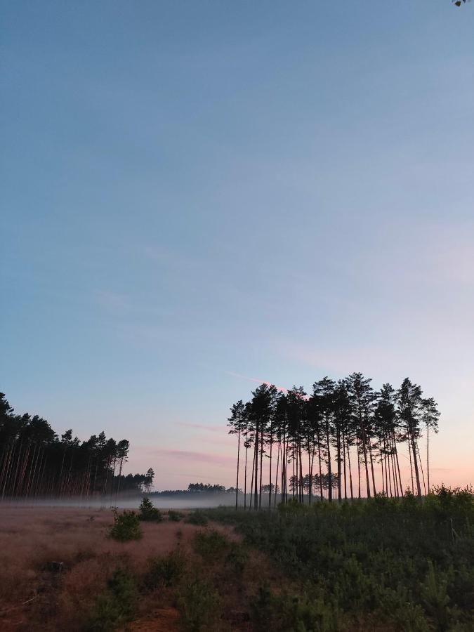 Zakatek Wdzydze Nad Samym Jeziorem - Pierwsza Linia Casa vacanze *