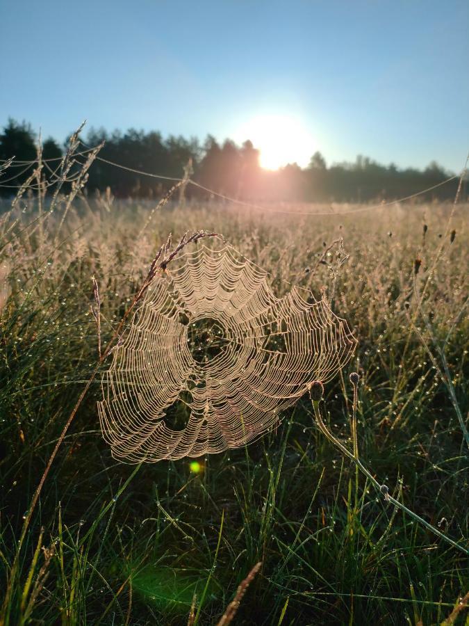 Zakatek Wdzydze Nad Samym Jeziorem - Pierwsza Linia Casa vacanze