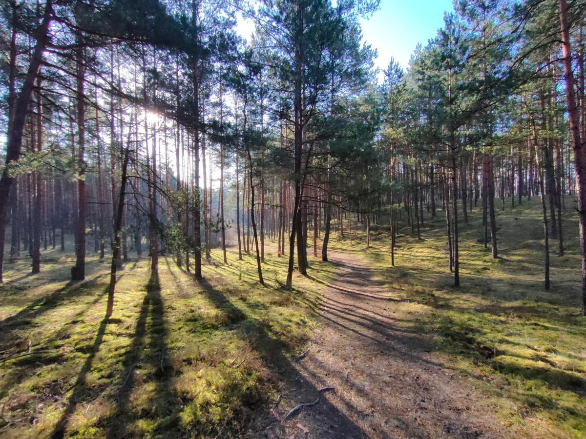 Zakatek Wdzydze Nad Samym Jeziorem - Pierwsza Linia