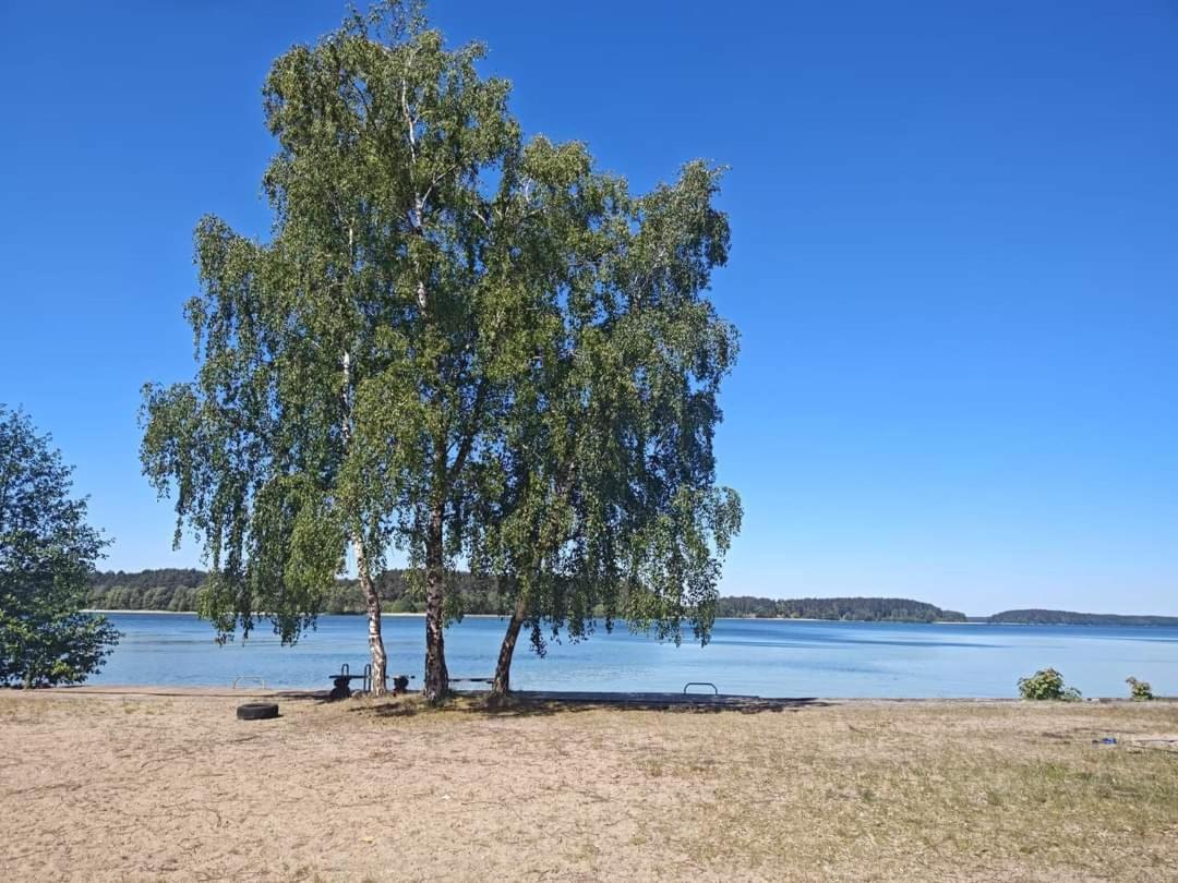 Zakatek Wdzydze Nad Samym Jeziorem - Pierwsza Linia Borsk